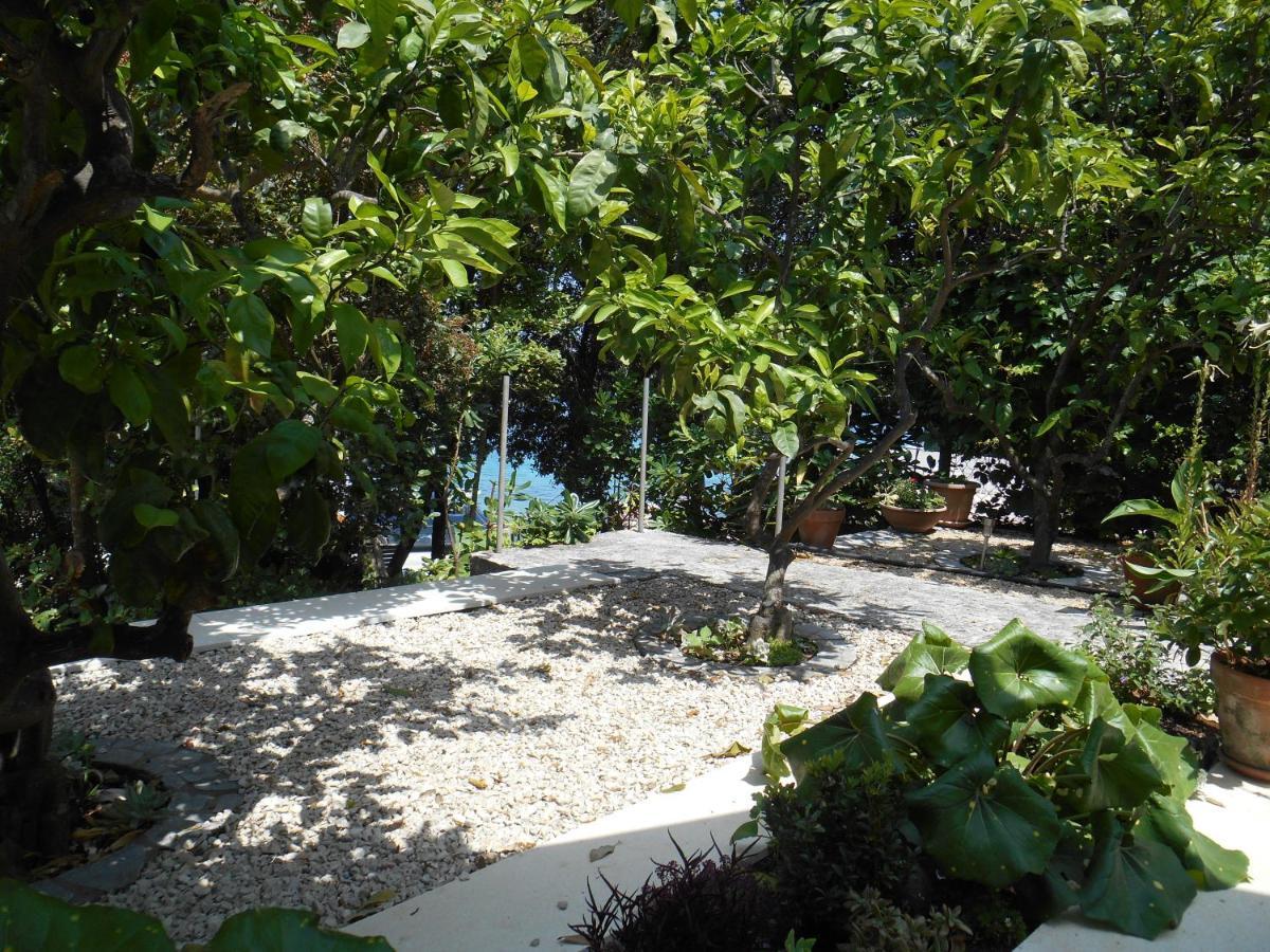 Apartment Marija Korcula Town Exterior photo